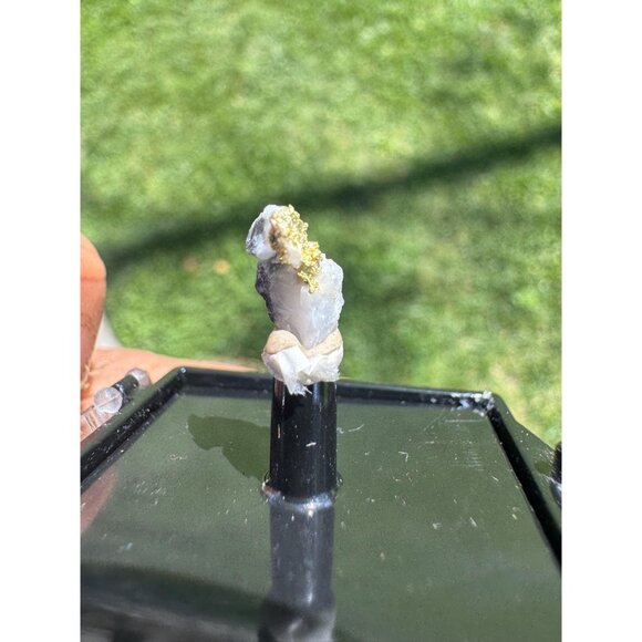 Gold on Quartz - Natural California Gold Specimen in Perky Display Box - #12 - Picture 7 of 9